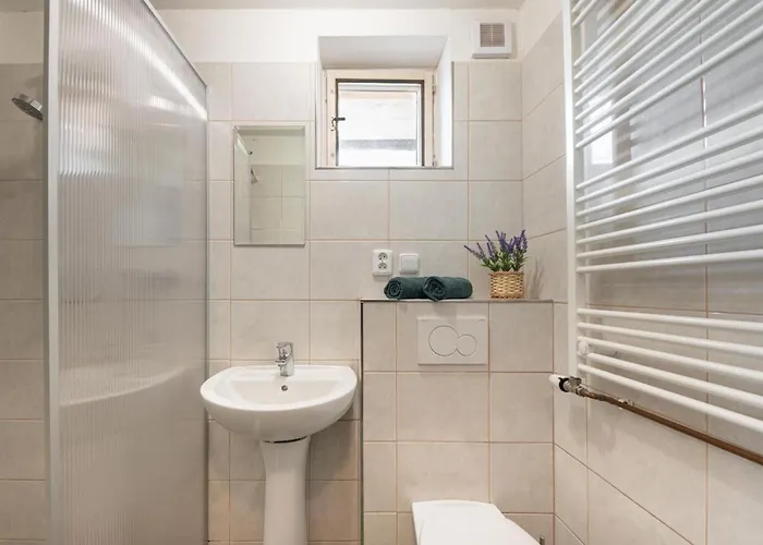 Apartman Roznov Ceske Budejovice